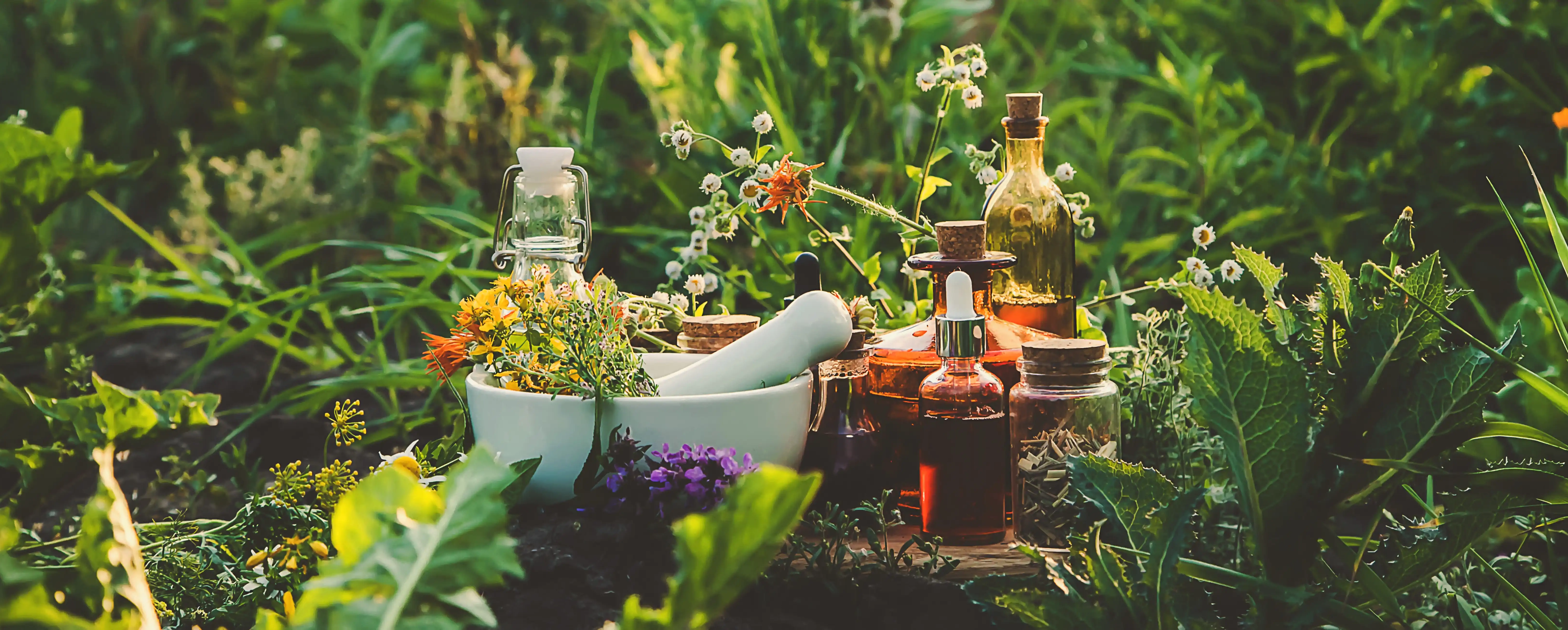Naturopathie (3)